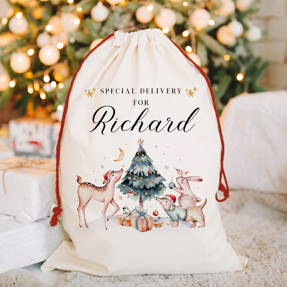 Personalised Santa sack – animals design, clean image
